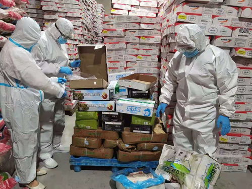 烏蘭察布市場監(jiān)管局突擊檢查進口冷鏈食品批發(fā)點
